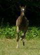 Bilder 13.06.2009 042.JPG