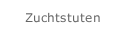 Zuchtstuten